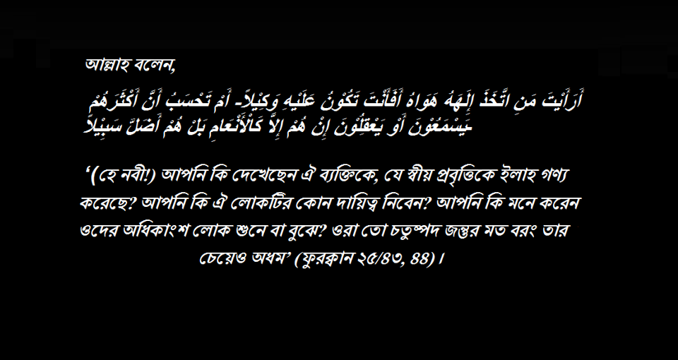 প্যারাডক্সিক্যাল সাজিদ - আরিফ আজাদ