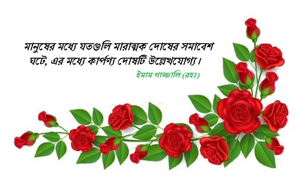এক অসাধারণ বালকের কাহিনী (আল্লাহর জমিনে আল্লাহর দ্বীন প্রতিষ্ঠা করতে গিয়ে যিনি হাসিমুখে বরণ করে নিলেন মৃত্যুকে)