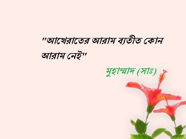 শিক্ষনীয় ঘটনা ও তওবার উপকারিতা!