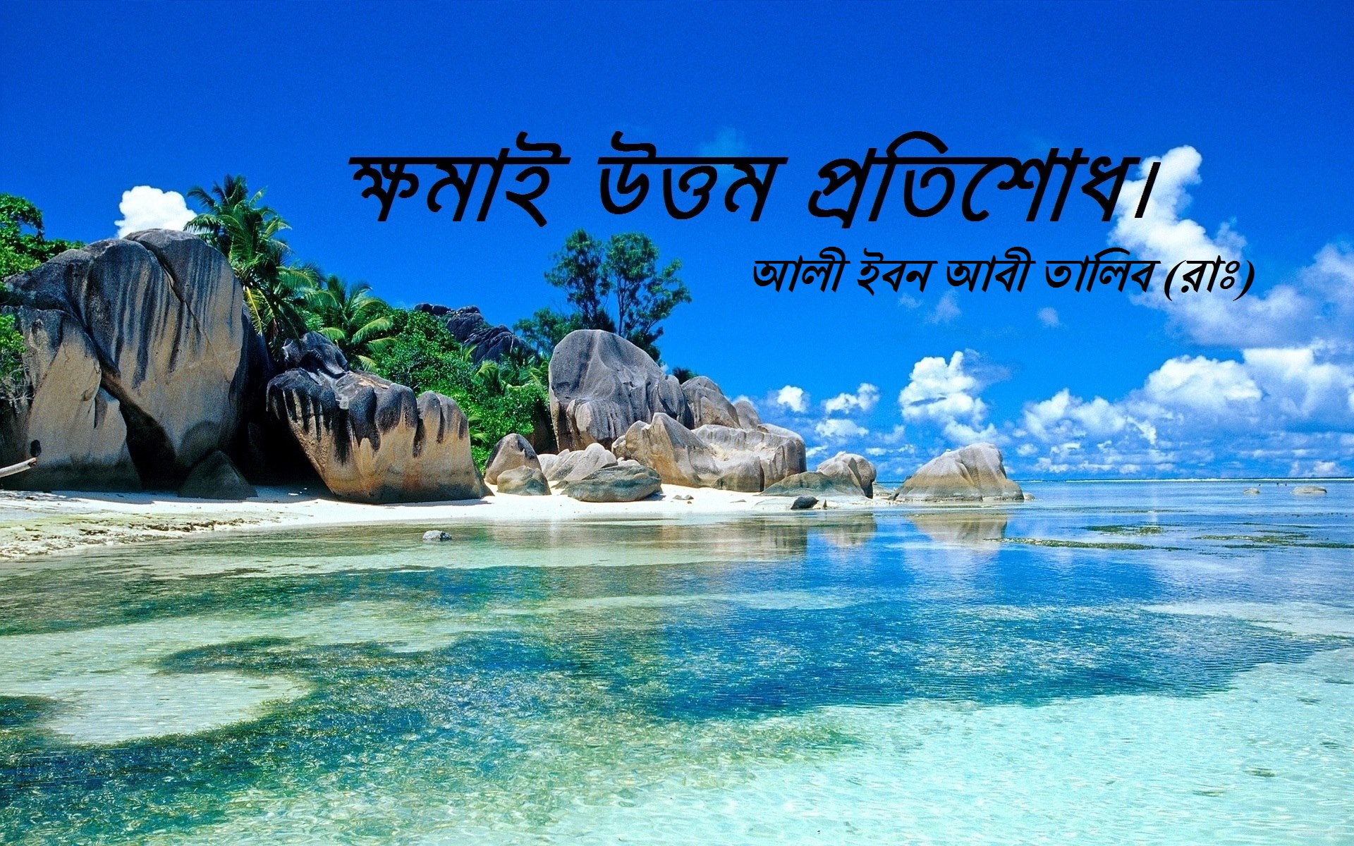 ইমাম আবু হানীফার (রহঃ) সুতীক্ষ বুদ্ধি